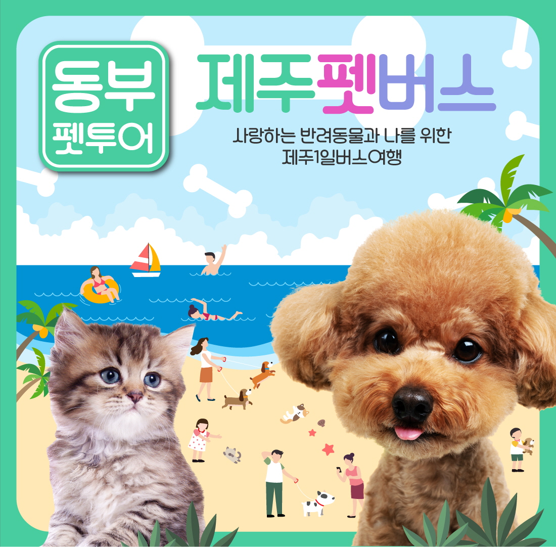 PET버스-동부-PC-210222-수정