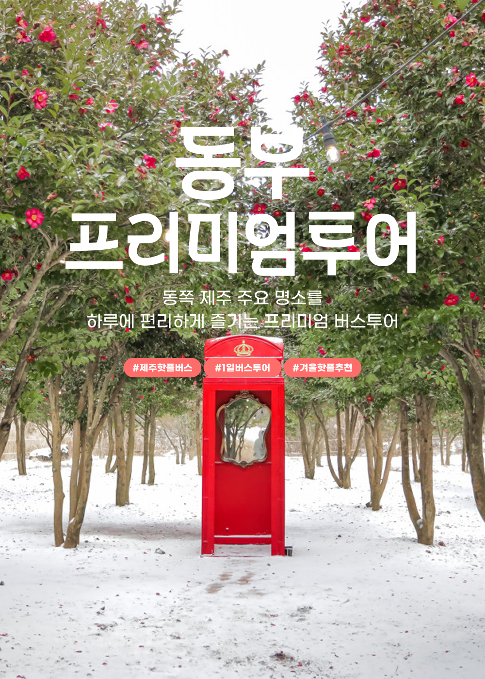 03 Landing_동프_사이즈수정