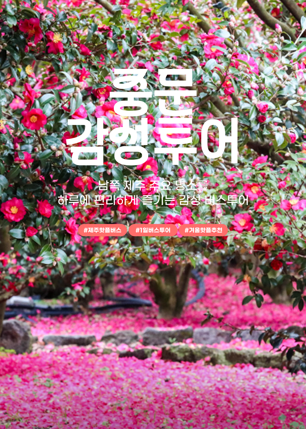 03 Landing_글자수정