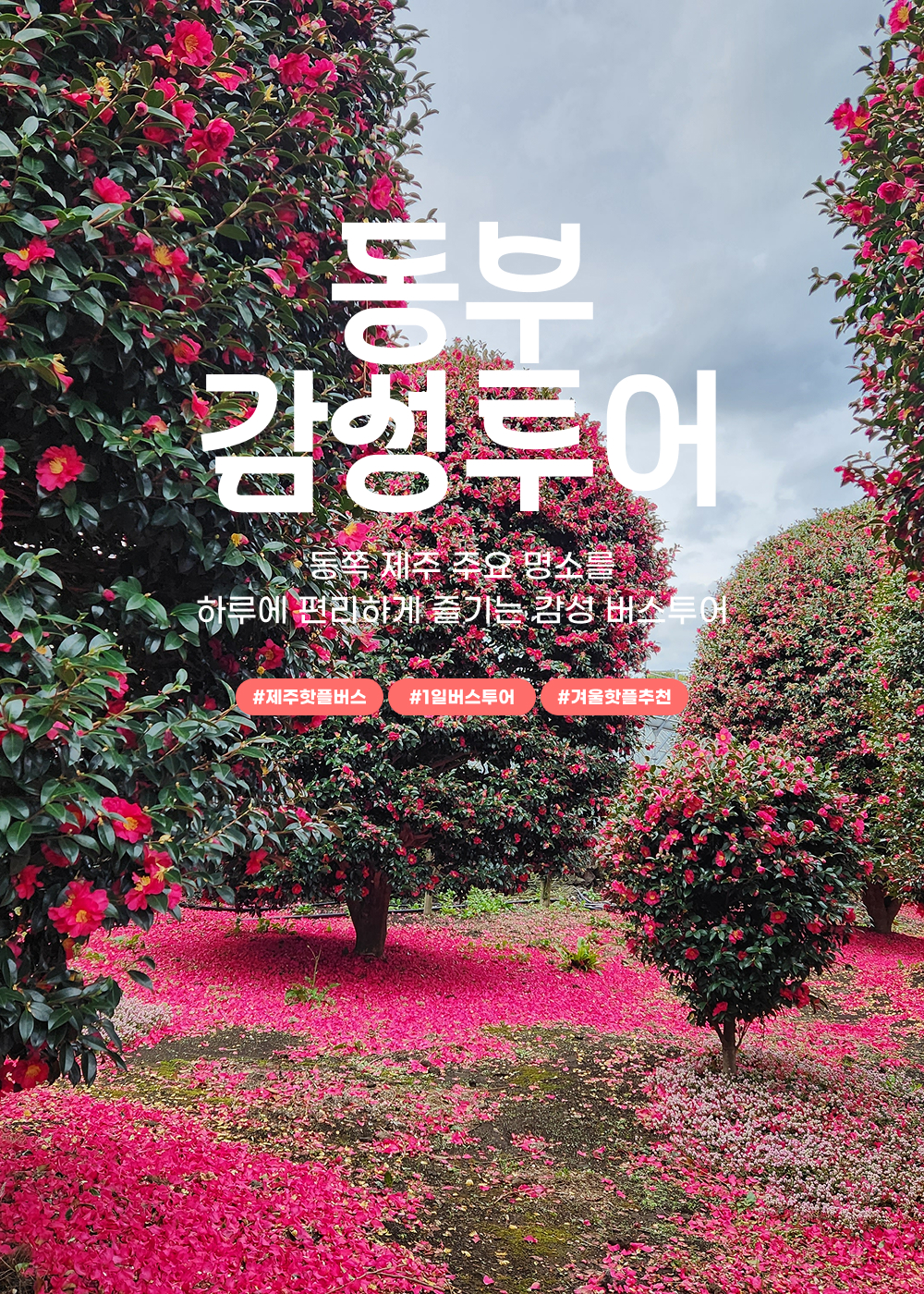 03 Landing_글자수정