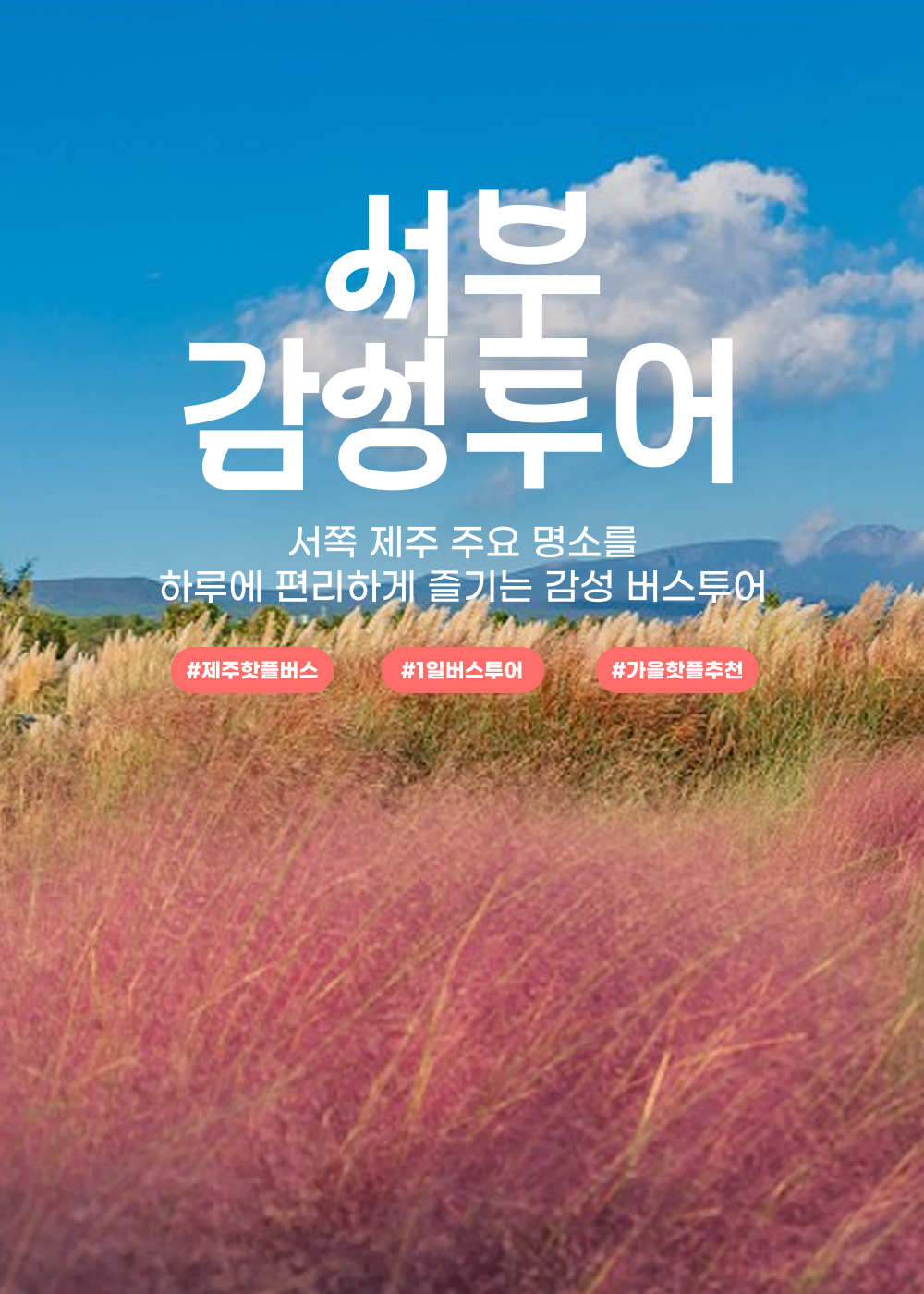 26초가을_서감_03 Landing_1000x1400px